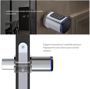 USA EU Local Warehouse Tuya Home Security System WiFi Door Exit Switch Electronic Door <b>Lock</b> Digital Keycard <b>Locks</b> - Product Image 6