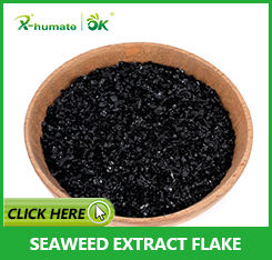 X-Humate Agla dans l'extrait d'algues Soluble dans l'eau Flake High Concent Seaweed Extract Flake - Product Image 2