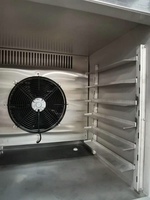Mini bloc congélateur à explosion, crème glacée pour poisson, chambre froide, 500kg, frites, poulet, durian, gelato, malaisie