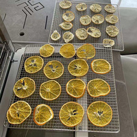 80 Trays Industriële Dehydrator Machine Hoge Capaciteit Voor Gedehydrateerd Voedsel Ce Gecertificeerd Voor Fruit & Groente Droger