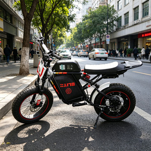 Bicicletta Elettrica da Montagna con Motore Centrale da 500W, Batteria al Litio 48V, Ruote Fat da 20 Pollici, Telaio in Lega di Alluminio a 7 Velocità e Sospensione Completa - Product Image 2