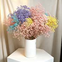 Fleur séchée naturelle à tige fine, anti-décoloration, motif petite fleur délicate, très prisée pour la création de bouquets de mariage