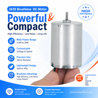 Motor DC Mini Tanpa Sikat 24mm 2430 BLDC 24V
