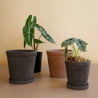 Vente en gros de pot pour succulentes de décoration de jardin pot de fleurs en ciment de haute qualité avec plateau