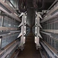 Nouvelle cage à poulets empilable de type H entièrement automatique, résistante à la corrosion, équipement d'élevage avicole, alimentation et collecte des œufs