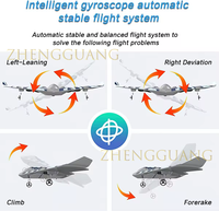 Zhengguang Control Remoto Planeador Radio Control Epp Espuma Avión Modelo Rc Juguete Jet Avión Rc Motor Avión Rc Avion Con Luz