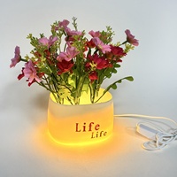 Mini pot de fleurs lumineux en plastique du fabricant pour la décoration de bricolage à la maison rehausseur d'humeur pour fleurs et plantes