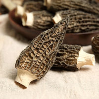 Morilles Noires Séchées Sauvages - Morchella Esculenta Séchée - Colmenillas - Prix Frais Morcheln