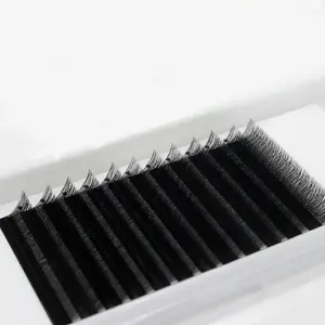 Wholesale y shaped lashes matte black 0.07mm yy lash extensions private label 5D W clover matte 12 lines Korean eyelashes