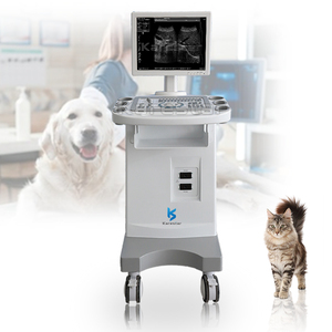 Système d'échographie vétérinaire sur chariot, Échographe vétérinaire pour animaux, <span class=keywords><strong>Prix</strong></span> de l'appareil d'échographie vétérinaire - Product Image 1