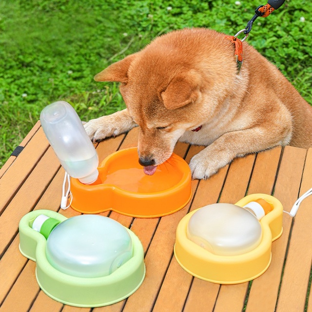 New Pet Products 2026 Dog Accessories Luxury Collapsible Portable Outdoor Pet cat Dog Water Bottle Feeder Dispenser for Dogs