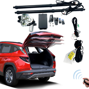 Hệ Thống Điện Nâng Cửa Sau Cho Hyundai - Product Image 6