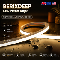 BERIXDEEP Corde néon haute tension AC230V 1615, flexible en vue de dessus, 12W, découpable, étanche IP67, pour enseignes néon extérieures