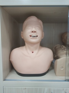 Simulador de Maniquí de Enfermería de traqueotomía para adultos, avanzado, de la marca - Product Image 5