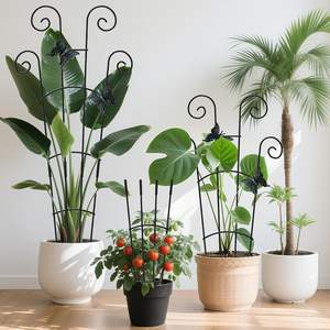 Lot de 2 treillis métalliques extensibles pour plantes avec finition laquée, support robuste pour plantes grimpantes, fleurs, lierre - Utilisation en intérieur - Product Image 2