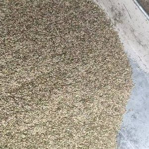 <span class=keywords><strong>Di</strong></span> alta qualità all'ingrosso natura selvatica <span class=keywords><strong>semi</strong></span> <span class=keywords><strong>di</strong></span> <span class=keywords><strong>ortica</strong></span> biologica provengono dalla cina per uso alimentare - Product Image 4