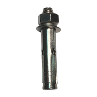 Baut Ekspansi Baja Tahan Karat M12*80 201