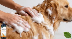 Champú a Base <span class=keywords><strong>de</strong></span> Plantas para Perros Contra Pulgas y Garrapatas, Elimina y Repele los Ácaros, Limpia Suavemente, Alivia la Picazón, Calma, Cuidado Diario para un Pelaje Fresco y Seguro - Product Image 4