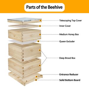 Ba Thông Bee Hive Kit Bee Tổ Ong Hộp Starter Kit Tổ Ong Khung Sáp Bột Nền Tảng Kính Thiên Văn Mái Stackable Lưu Trữ Thùng - Product Image 2