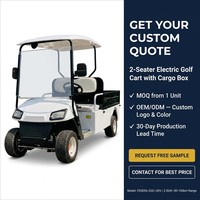 Voiturette de golf électrique 2 places avec coffre de chargement, batterie au lithium, 30-50 km/h, 3KW, certifiée CE, pour parcours de golf, hôtel, usine, entrepôt, campus, 60V