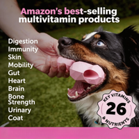 Friandises multivitaminées 10-en-1 saveur beurre de cacahuète pour chiens adultes, 90 unités, probiotiques, glucosamine, oméga-3, soin de l'intestin, de l'immunité et des articulations