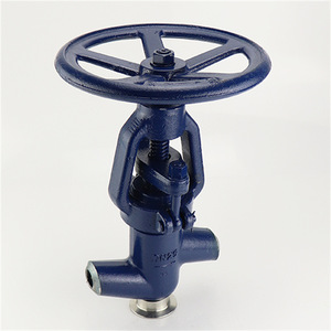 Globe en acier inoxydable forgé classe 800 à souder par emboîtement DN20 pour système haute pression - Product Image 4