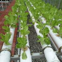 Vertikale nft system wachsenden erdbeeren hydrokultur turm garten