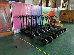 OEM ODM scooter şehir coco dengeleme 350w elektrikli scooter ab depo ile sıcak satış en orijinal elektrikli scooter