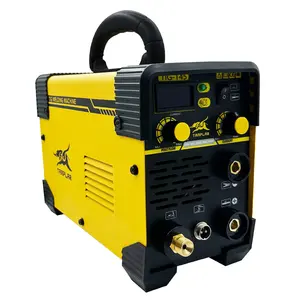 Vendita calda TIG MMA ARC inverter multifunzione 220V saldatore arc maquina de soldar gas tig piccole saldatrici tig prezzo