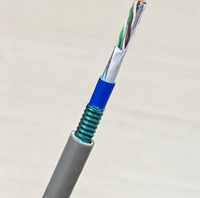 Câble Ethernet blindé SFTP extérieur étanche pour installation d'ingénierie, câble LAN blindé 10 Gbit/s à paire torsadée pour usage extérieur