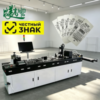 Machines industrielles de traitement de tags intelligents en ligne pour étiquettes de vêtements avec fonction d'encodage RFID et d'impression jet d'encre UV