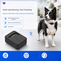 Traceur GPS 4G pour animaux de compagnie en gros, positionnement Beidou en temps réel, localisateur anti-perte rechargeable étanche IP67 pour chiens et chats