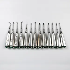 Stainless Steel Dental Root Elevator Autoclavable Dentist Tooth Extraction Tools