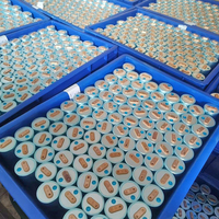 Cellule cylindrique LiFePO4 Gotion 3.2V 15Ah 33140, 20Ah 40135 Grade A, 4000+ cycles, batterie à décharge profonde pour éclairage solaire public