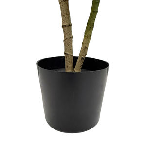 Bambou porte-bonheur <span class=keywords><strong>Dracaena</strong></span> Sanderiana, plante en plastique, arbres du Brésil, dragons artificiels, branche de <span class=keywords><strong>Dracaena</strong></span> tropicale pour la décoration de la maison - Product Image 5