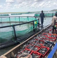 Flottant d'aquaculture ponton cage cage de pêche en rivière lac mer pisciculture