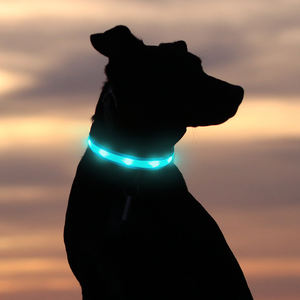 Collar LED de calidad para perros pequeños, collar recargable por USB que brilla en la oscuridad - Product Image 1