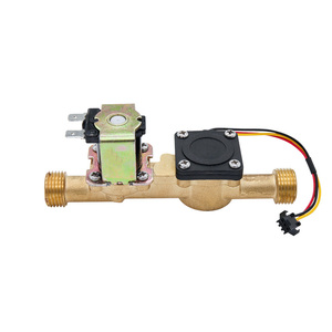 G1/2 DN15 Brass NC một cách nước solenoid van 24V với hiệu ứng <span class=keywords><strong>Hall</strong></span> Cảm biến lưu lượng cho máy nước nóng - Product Image 3