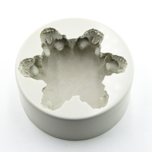 <span class=keywords><strong>Halloween</strong></span> speciale a forma di gelatina Sugarcraft cioccolato di cottura della muffa stampo in silicone della torta del fondente della muffa - Product Image 5