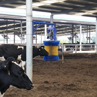 Brosse à vaches à double couche haute densité, brosse de massage confortable pour améliorer le rendement laitier des vaches laitières