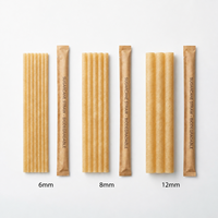 Pailles en canne à sucre de grand diamètre (8 mm, 12 mm) pour smoothies - Pailles biodégradables en bagasse pour bubble tea et jus épais