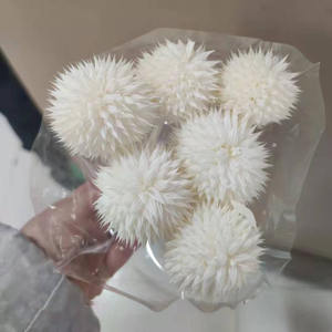 Bouquet <span class=keywords><strong>séché</strong></span> Fleurs préservées Colorées Leonotis Snow Echinops Thistle pour arrangement floral - Product Image 2