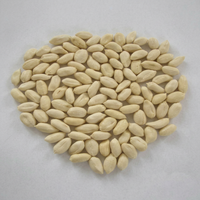 Cerneaux d'arachides bruts blanchis d'origine Shandong, faible teneur en aflatoxine, approvisionnement en vrac pour la fabrication du chocolat
