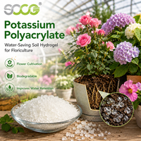 Agent de rétention d'eau résistant à la sécheresse, polyacrylate de potassium, hydrogel polymère, cristaux de gel pour les fleurs et le sol du jardin