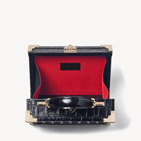 Mini Organisateur de Coffre de Voiture, Étui de Transport de Luxe pour Dames, Sac à Chaîne Designer, Boîte Rigide