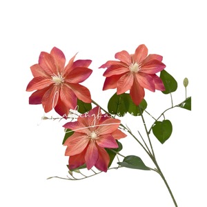 Fleurs artificielles de clematis, branche unique en soie, haute simulation, pour décorations de mariage et de maison - Product Image 5