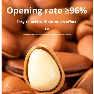 New Stock Open Pinienkerne Northeast Fresh Red Pine Snacks Extra große 500g Großhandel Roh verarbeitung - Product Image 2