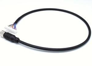 Cable conector OEM M12 codificado de 12 pines IP67 Conector recto hembra Cable de terminal conector circular electrónico impermeable - Product Image 6