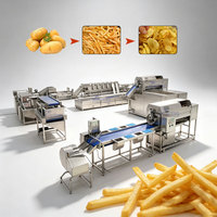 Volledig automatische machine voor het maken van aardappelchips, productielijn voor diepvries halfgebakken frieten met continue frituur