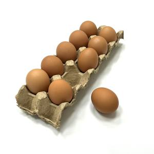 Vente chaude écologique 10 oeufs plateau emballage en papier Nouveauté durable recyclé plateau à oeufs en papier - Product Image 5